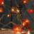 Birgit 0.5' Outdoor LED Battery Powered 1 Novelty String Light