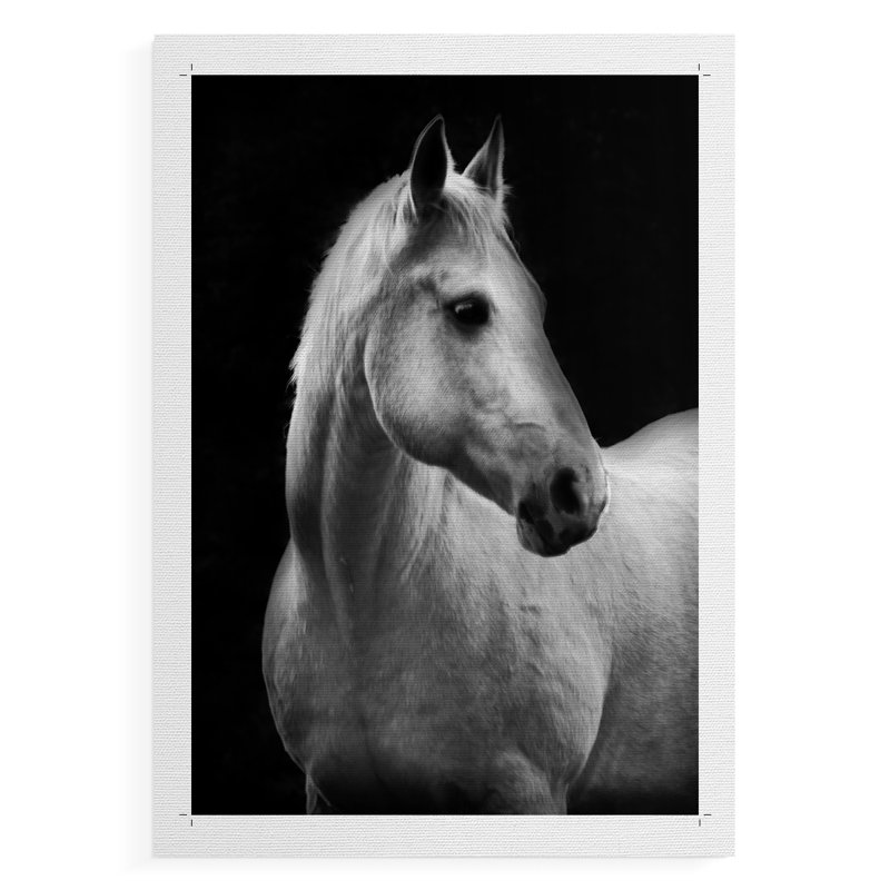 Drame de la jument blanche - impression sur toile seulement - non encadrée, H 18 po x l 12 po