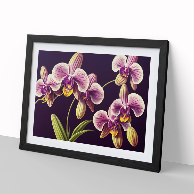 Captivating Orchid Flowers - Framed Print, Black, 25cm H x 34cm W x 2cm D