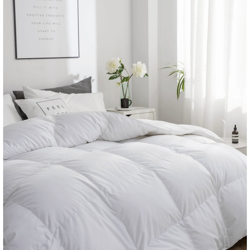 Édredon en duvet d'oie 650, Très grand