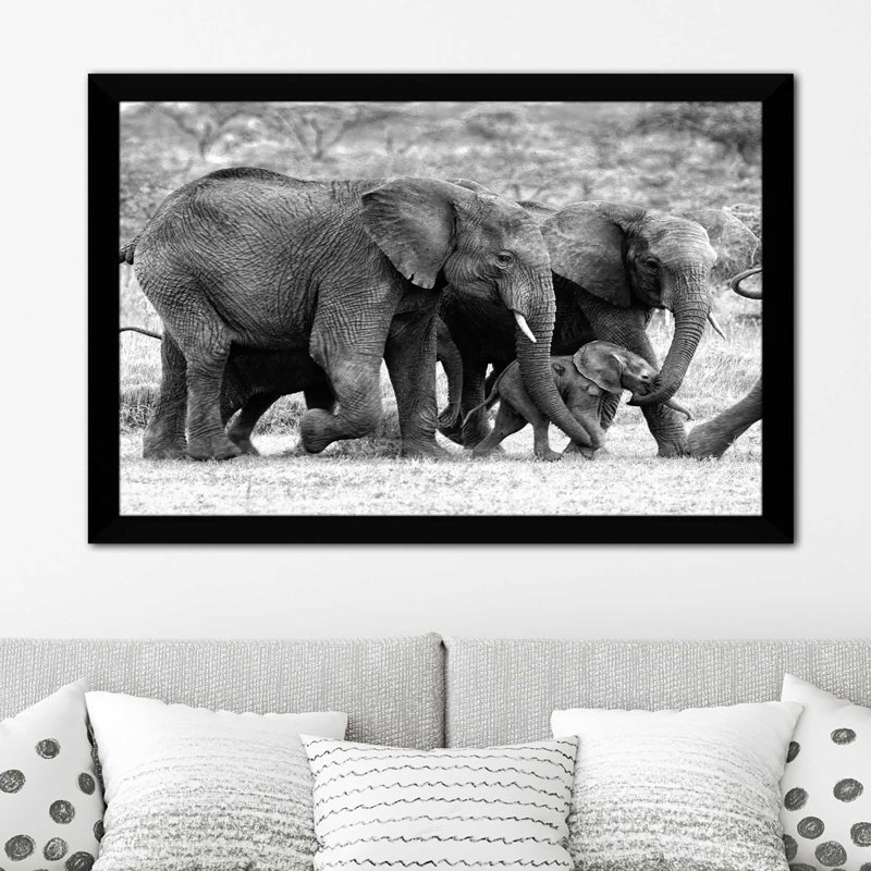 Famille d'éléphants, reproduction de photo, H 27,5 po x l 39,5 po x P 0,75 po, Cadre noir