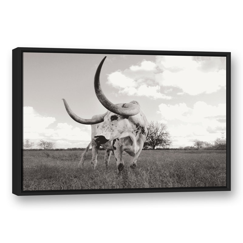 Bull photo encadrée sur toile, H 13,75 po x l 37,75 po
