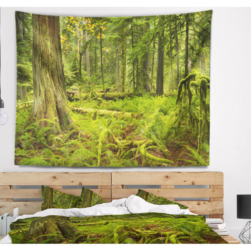 Paysage avec forêt tropicale luxuriante et cathédrale Grove, H 68 po x l 80 po