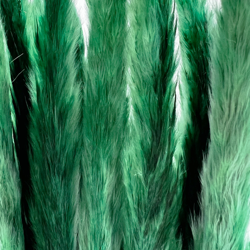 Preserved flowers Small pampass grass, Dark Green