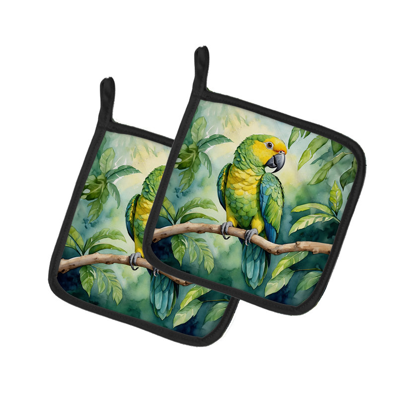 Paire de porte-casseroles Yellownaped Amazon