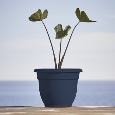 Traditional Self-Watering Plastic Indoor/Outdoor Pot Planter