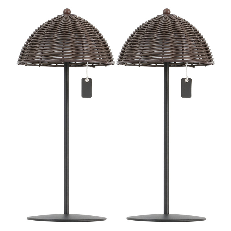 Lampe de table à DEL intégrée et d'extérieur à intensité variable de 12,75 po Tilly