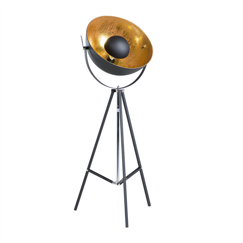 Caringorm 165cm Tripod Floor Lamp, Black