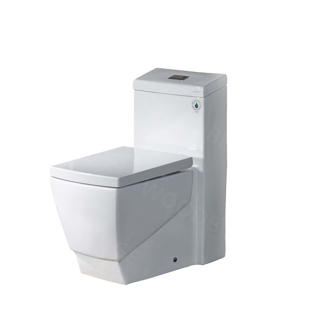 Dual-Flush Elongated One-Piece Toilet WoodBridge