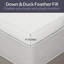 Surmatelas Plymouth Home-120327858-19700020