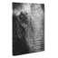 Mighty Elephant In The Shadows - Wrapped Canvas Print-56667349