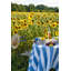 St. Tropez Handmade Striped Tablecloth-1502219390-1502219385