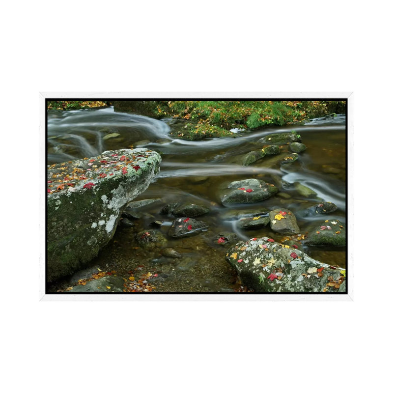 Laurel Creek, Great Smoky Mountains National Park, Tennessee by Tim Fitzharris - Gallery-Wrapped Canvas Giclée on Canvas