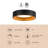 Chrysander 5-in White dimmable LED Flush Mount with Gold Accents-124959484
