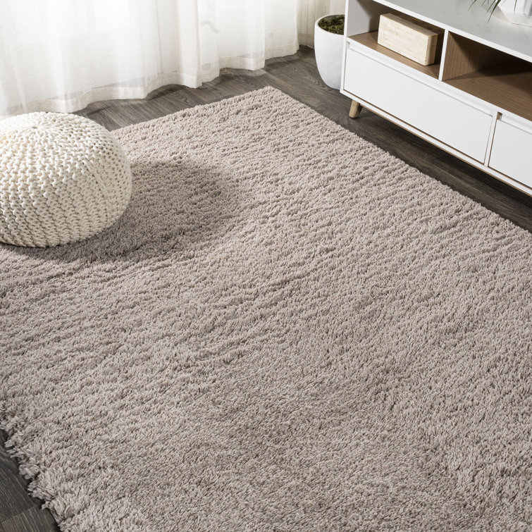 Anttwan Solid Shag Beige Rug