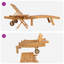 Outdoor Lounge Chair