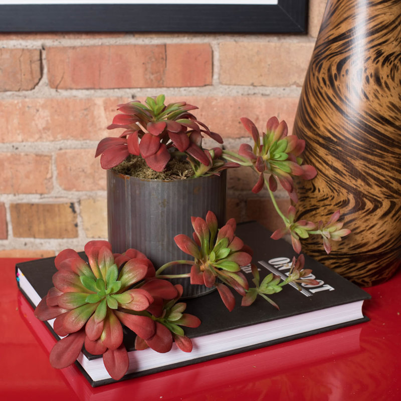 Atropurpureum Arrangement