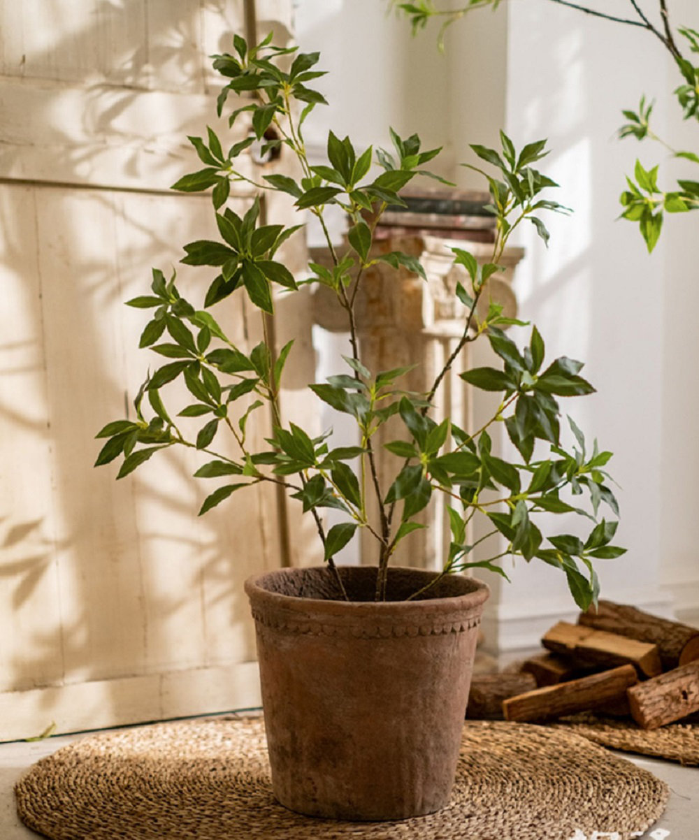 Gant Faux Tree, 37.4" H x 21.6" W x 6" D