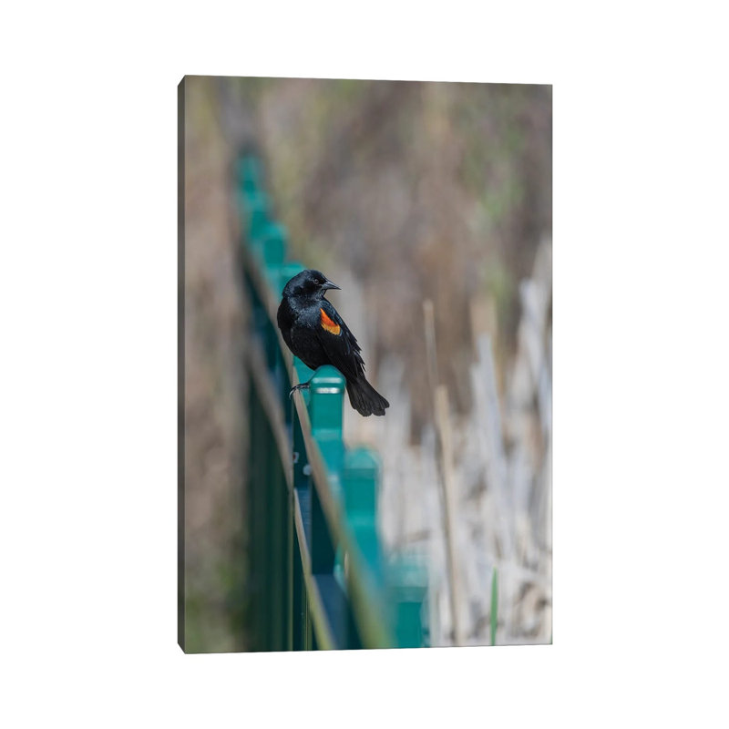 A Twist Of Bokeh by Louis Ruth - Wrapped Canvas Print, 20.32 cm H x 30.48 cm W