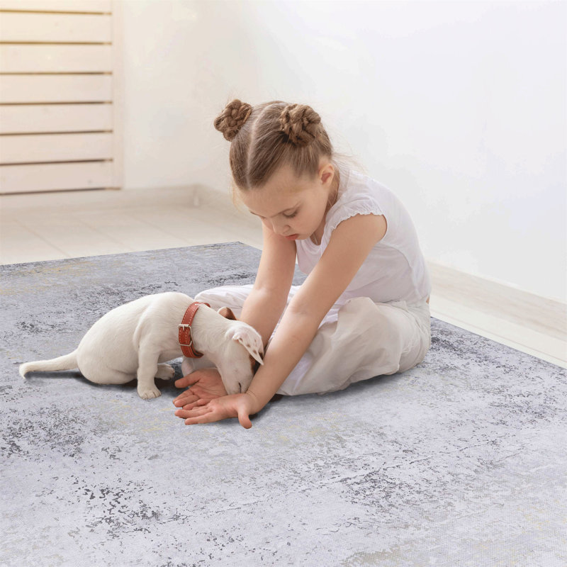 Washable Rug Area Rug, Rectangle 10' x 8'