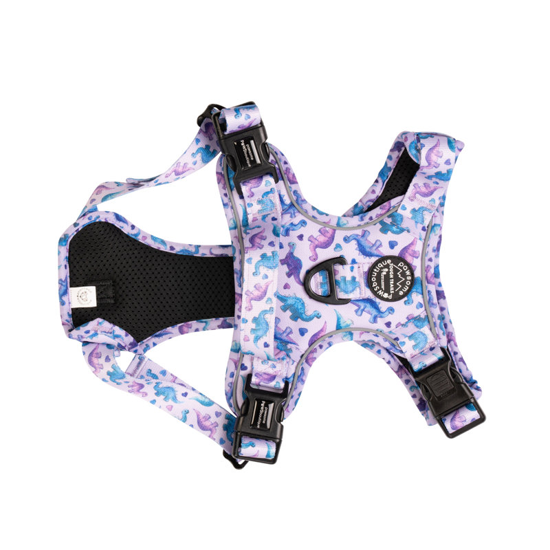 Accessories, Medium