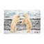 Art sur toile Alessandro Catta Fight-109334676