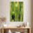 Harnek Cactus Overlay-108442670