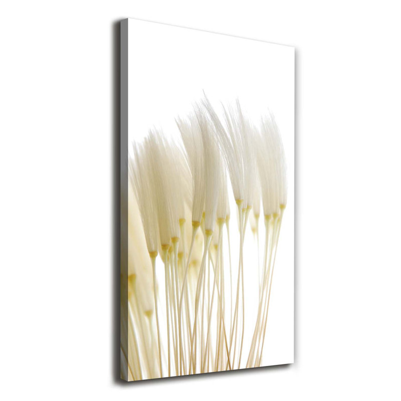 Dandelion Seeds - Wrapped Canvas Print