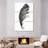 Black Feather-598945747