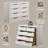Celerina 5-Drawer Chest in Weathered White