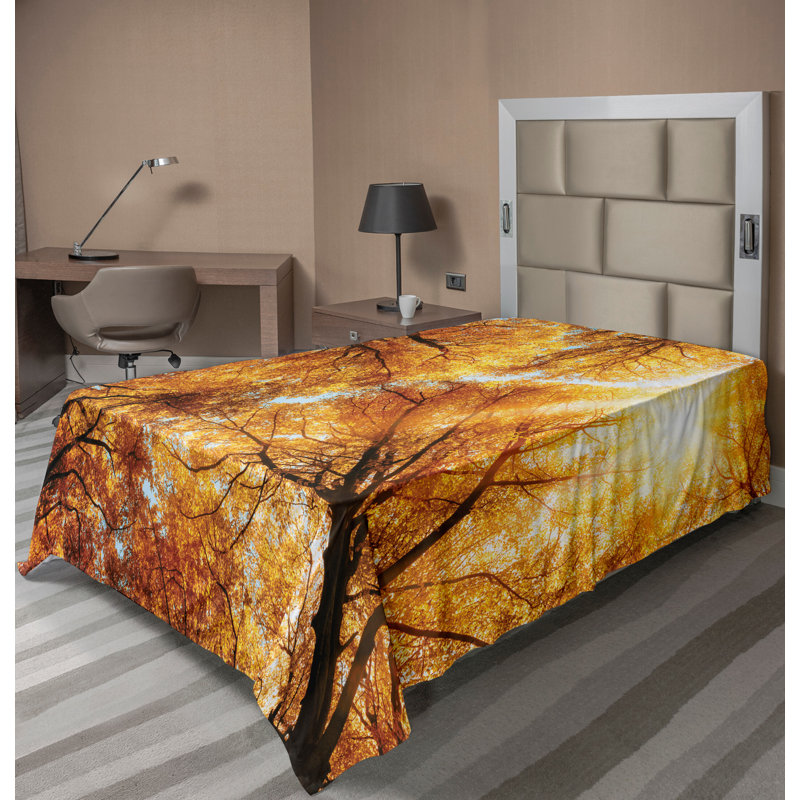 Drap plat Ambesonne, Simple