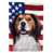 Kooikerhondje sélectionné