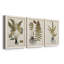 Fern Botanical IV - Ensemble de 3 peintures sur toile encadrées-1362442882-1362442895