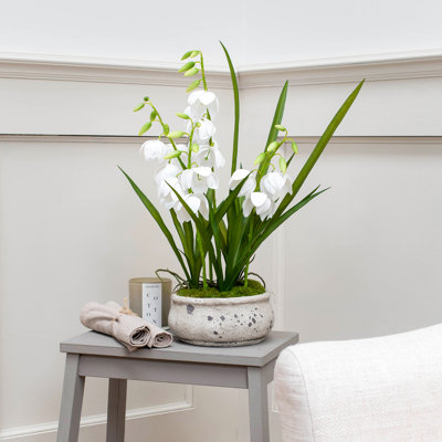 50 cm H Artificial Faux Floral