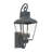 Paonia Outdoor 3 Light Graphite Wall Mount