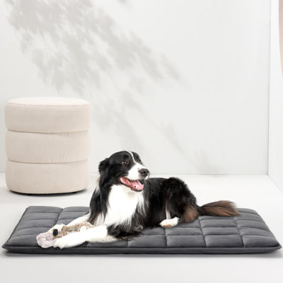Polyester Pet Bed