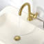 Pop-Up Bathroom Sink Drain Stopper with No Overflow-61118338