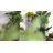 Hafer Stone Fiberstone Garden Statue