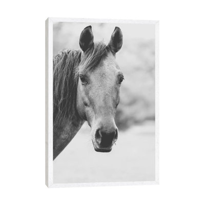 Wild Heart by Ann Hudec - Print on Canvas