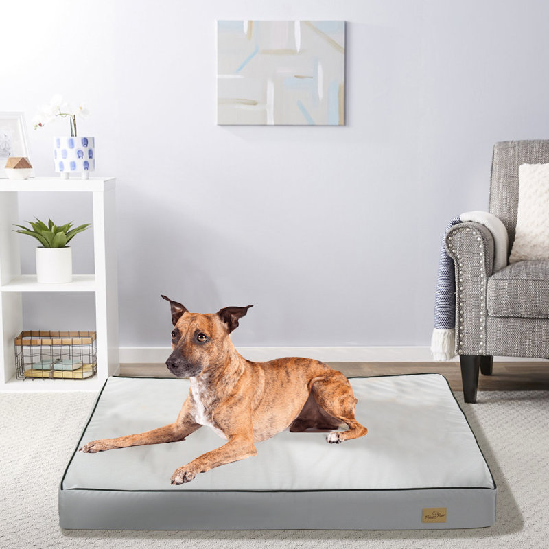 Coussin Pet, Petit (H 31 po x l 37,4 po x P 19,6 po)