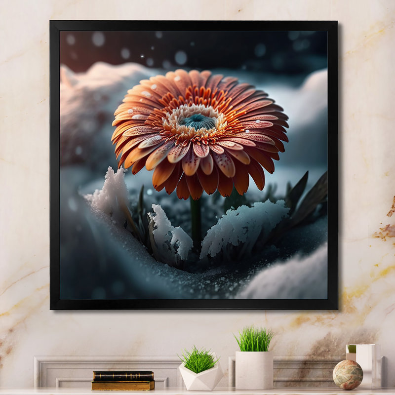 Une fleur de gerbera en fleurs en hiver - impression sur toile, Impression noire sur toile encadrée