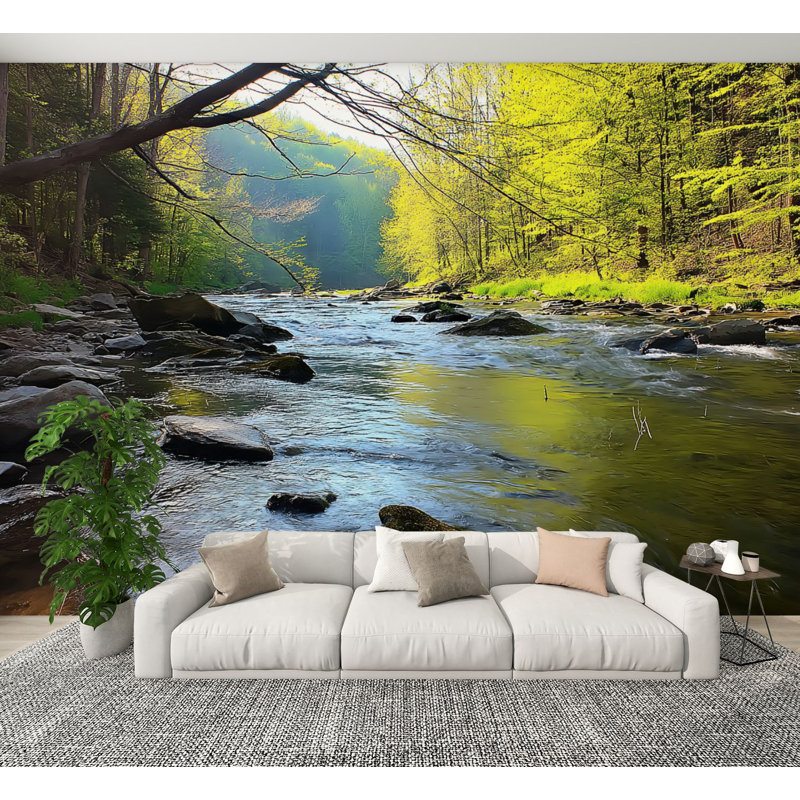 Papier peint auto-adhésif Mountain Trout Stream, Pennsylvanie, L 144 po x l 100 po