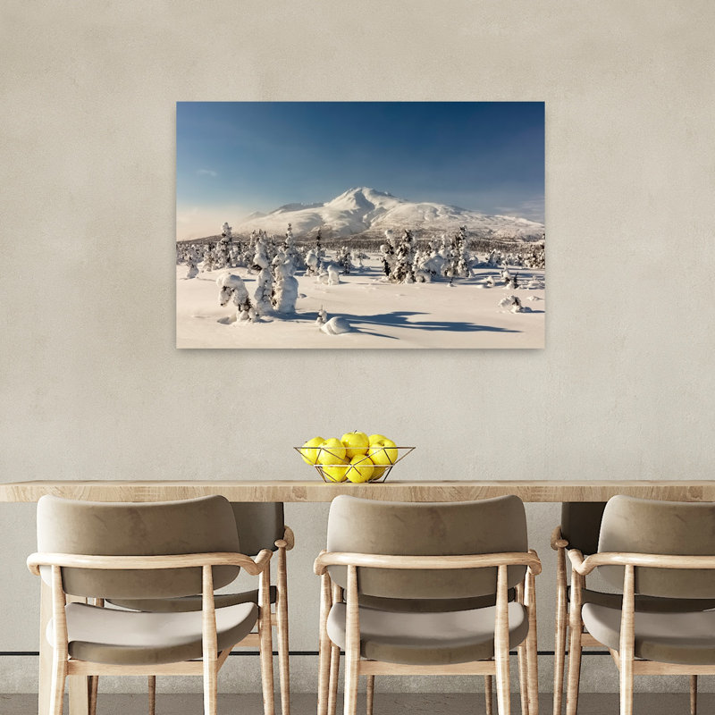 Deep snow blankets the taiga near Tahneta Pass Alaska 1 Piece Wrapped Canvas Wall Art, 60.96cm H x 91.44cm W