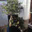 Customer photo 2 of 4