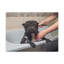 Cute French Bulldog Bath Canvas Wall Art-1530826684
