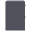 Storage Cabinet-1733305511