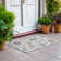 Machine Washable Indoor/Outdoor Segin ACN1218 Rug