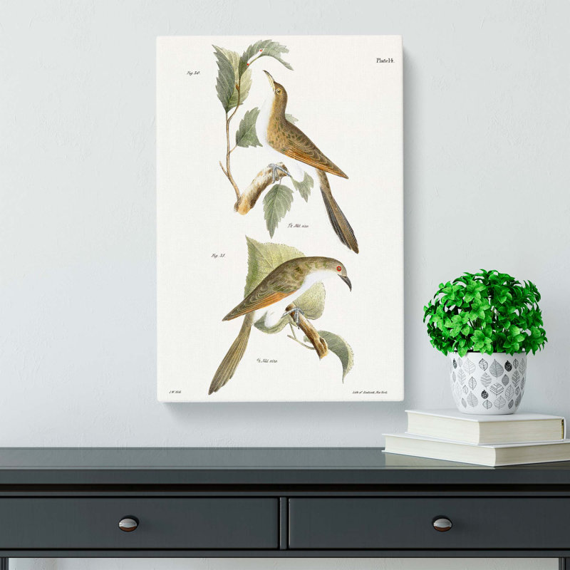 Cuckoo Birds by J.E. De Kay - Wrapped Canvas, 60cm H x 40cm W x 3cm D