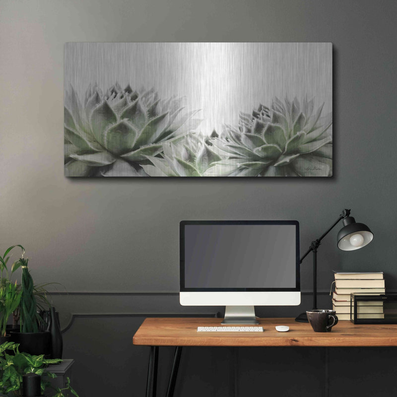 " Soft Succulents I " by Lori Deiter, 12" H x 24" W