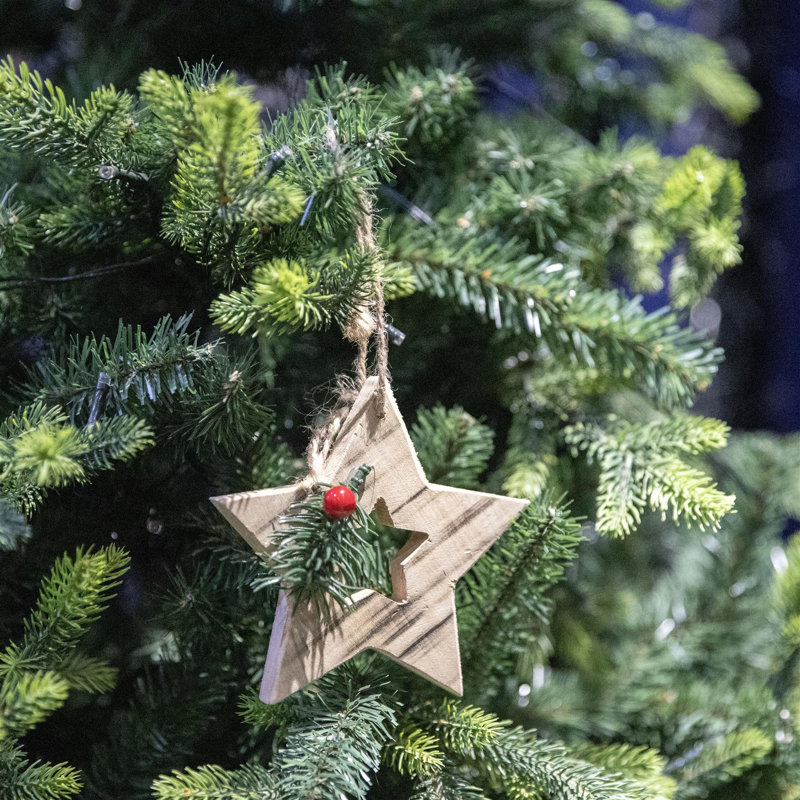 26cm PVC Holiday Shaped Ornament